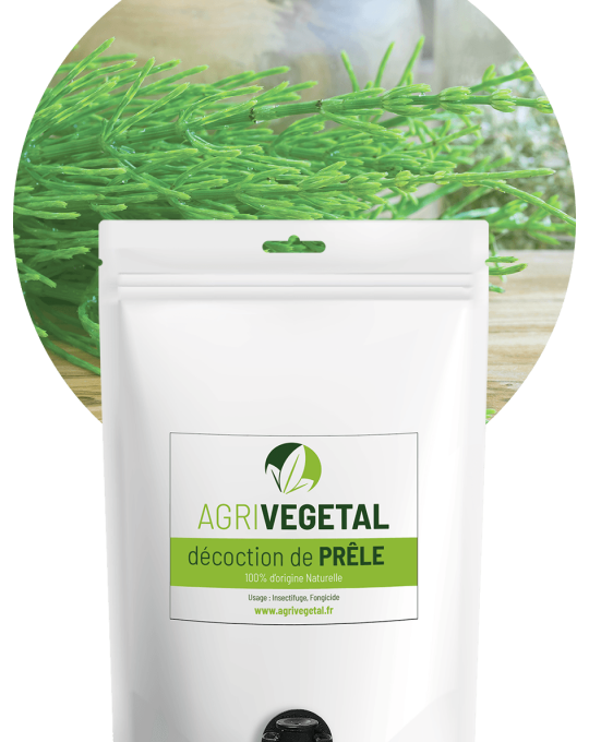 AGRIVEGETAL-DECOCTION-PRELE