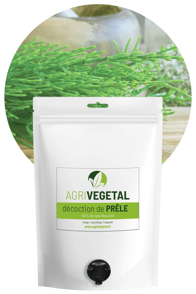 Purin De Prêle 5L - Engrais Naturel Et Traitant Pour Potager Et Verger