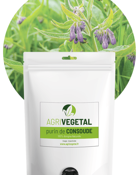 AGRIVEGETAL-PURIN-CONSOUDE