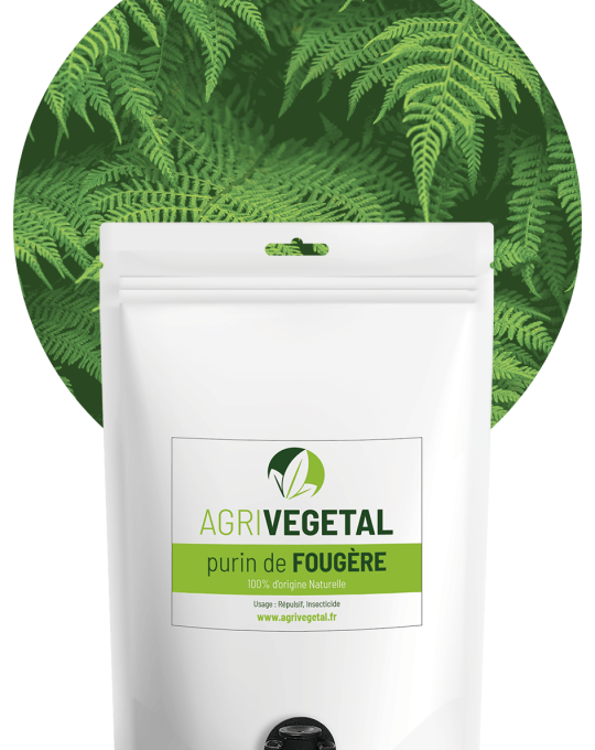 AGRIVEGETAL-PURIN-FOUGERE