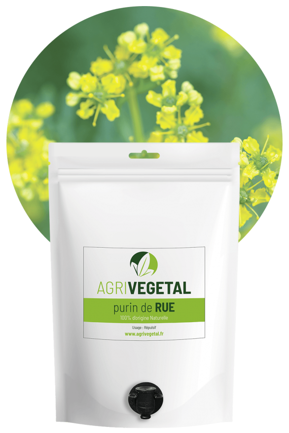 AGRIVEGETAL-PURIN-RUE