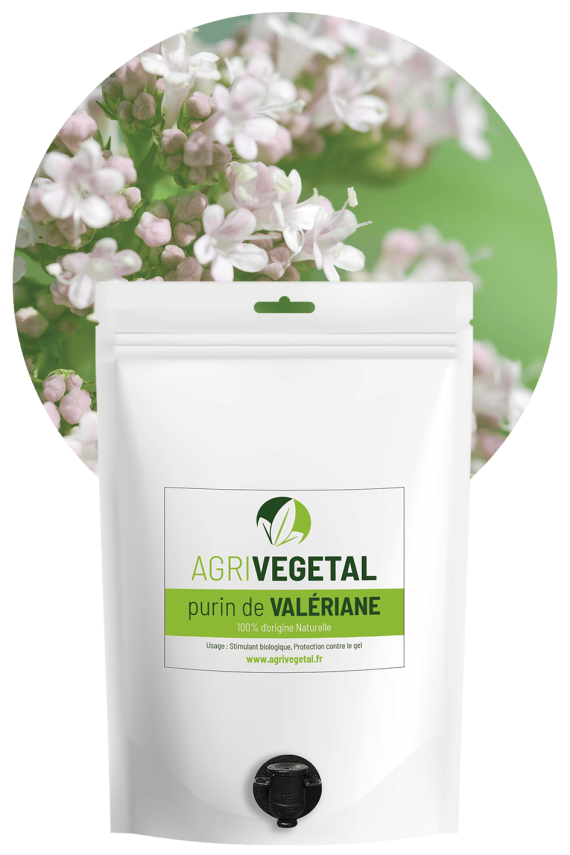 AGRIVEGETAL-PURIN-VALERIANE