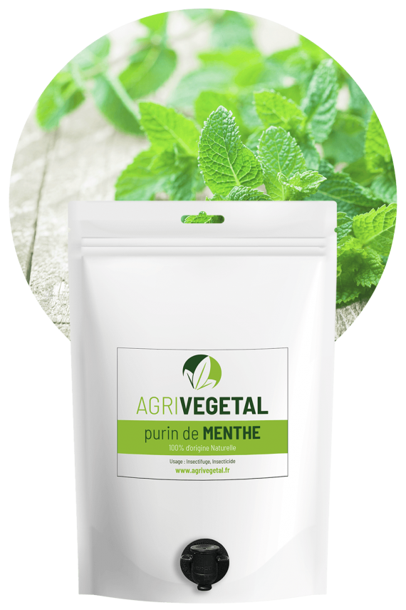 AGRIVEGETAL-PURIN-MENTHE