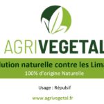 Solution naturelle contre lesl imaces