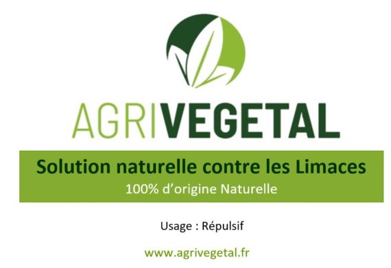 Solution naturelle contre lesl imaces