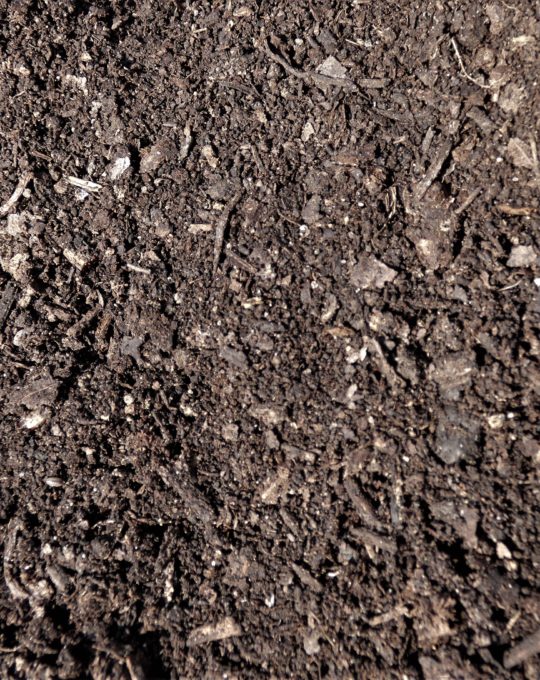 Compost de feuilles