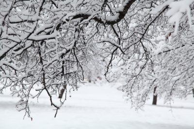 russian-winter-gb270b963e_1920