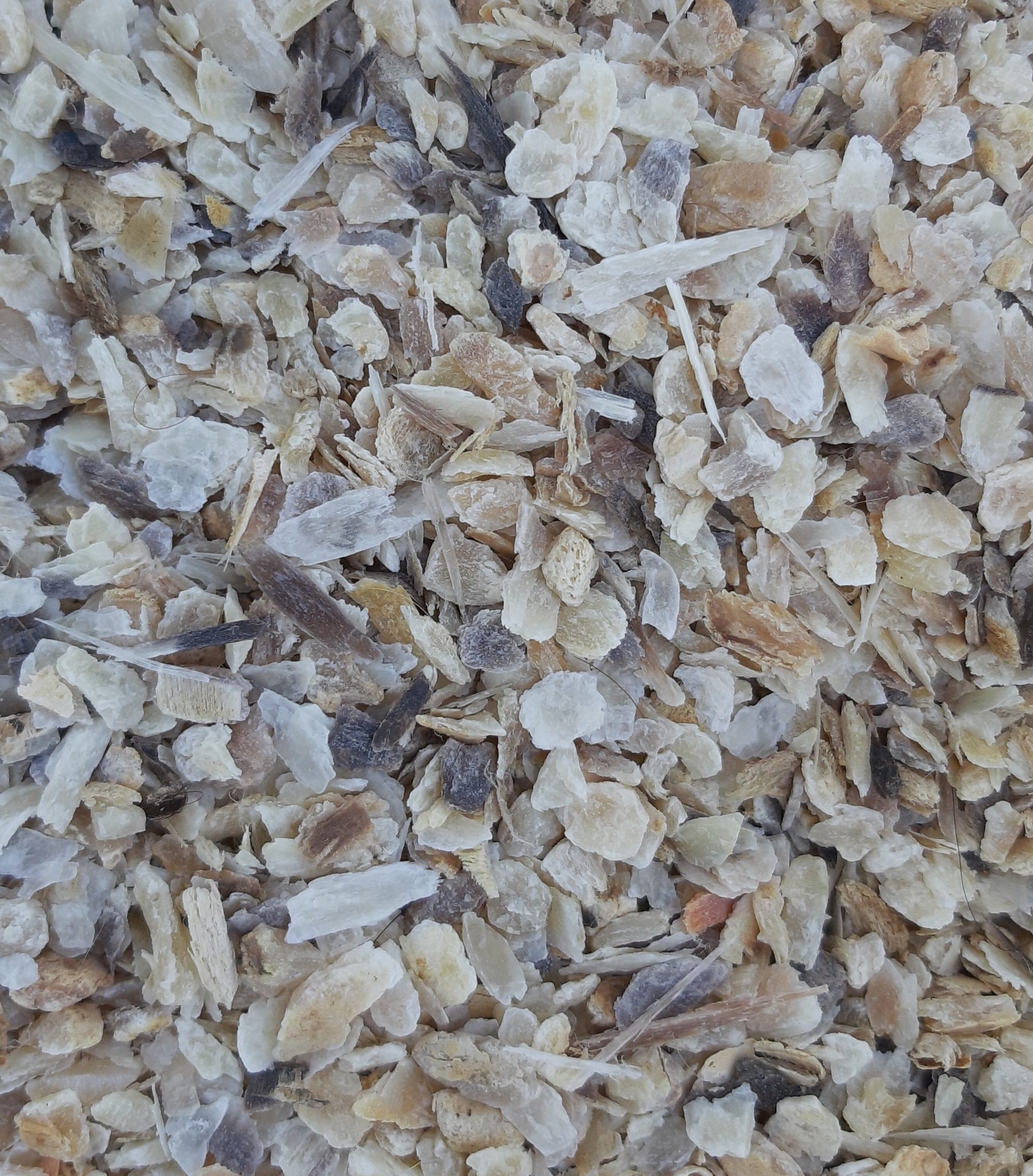 Corne Broyée Véritable Pour Jardin. Azote Diffusion Progressive 600 G - Achat